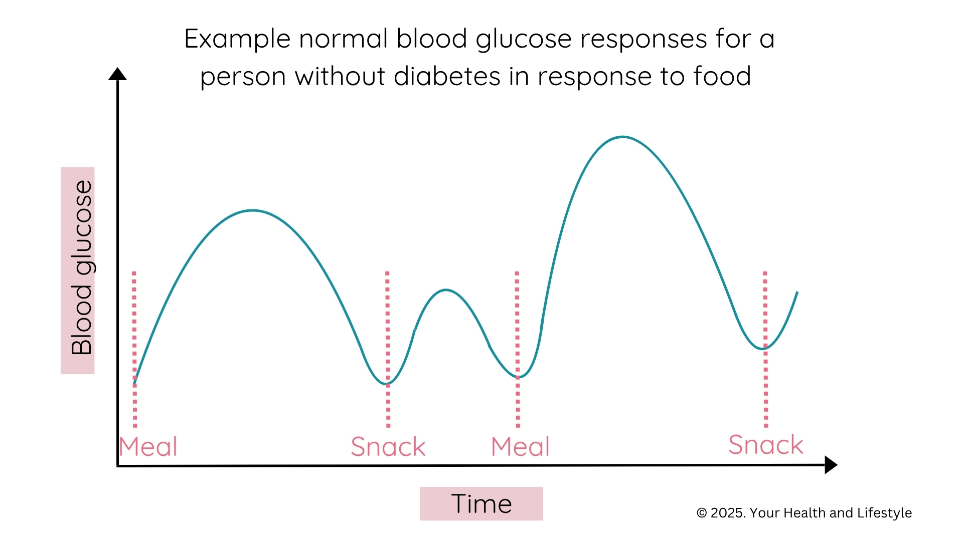 Dietitian Illustrative graph for normal blood glucose response (1)
